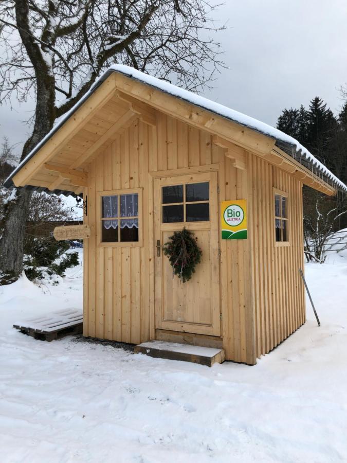 Biohof Auinger, Der Tiererlebnishof Lejlighed Aurach am Hongar Eksteriør billede